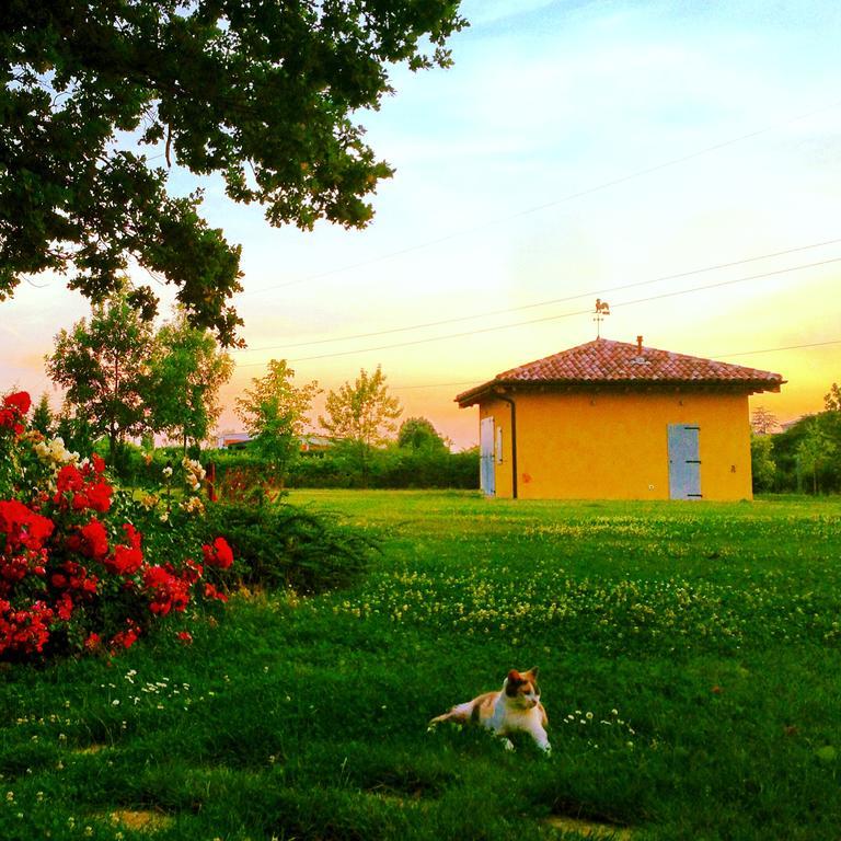 Vigorso 41 Country House ブドリオ エクステリア 写真